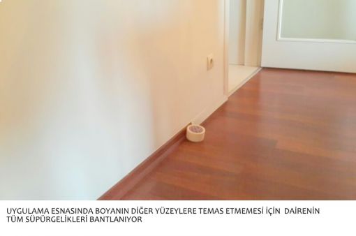 1 günde boya