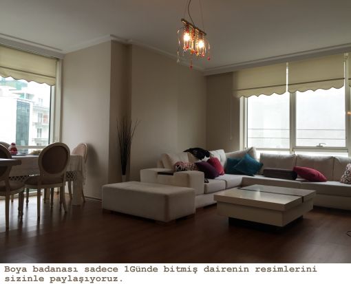 temiz ev boyacısı