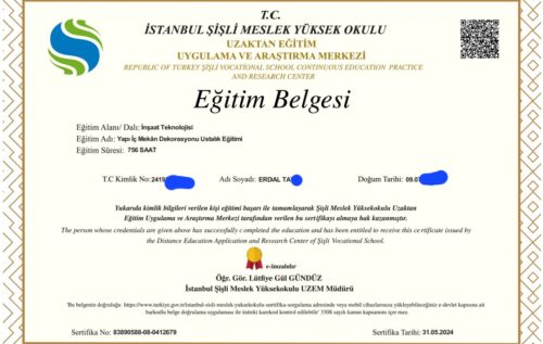 1 günde boya