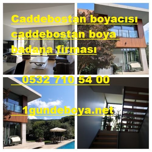 Caddebostan profesyonel boyacı ustası 