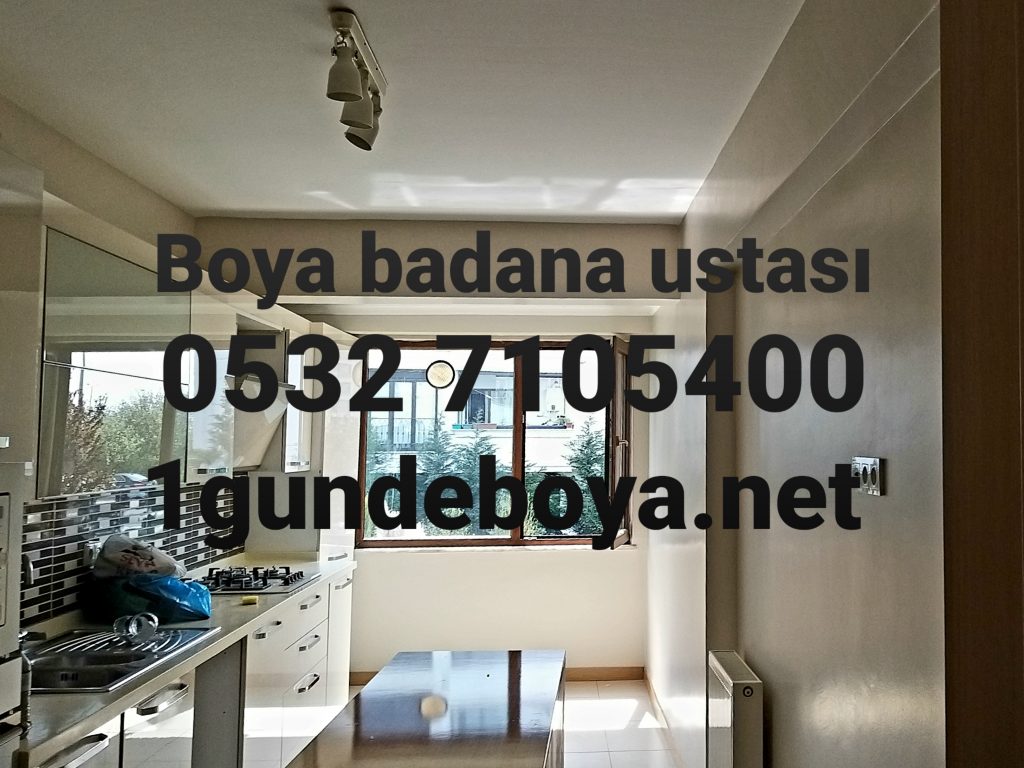 Altayçeşme badana ustası 