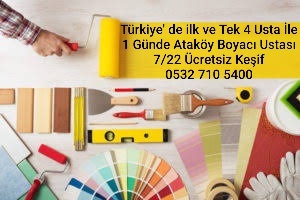 Ataköy Boyacı Ustası