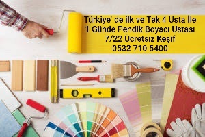 Pendik Boyacı Ustası